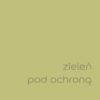 Farba Dulux EasyCare "Zieleń pod ochroną" 5L - obrazek 2