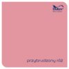 DULUX RAPIDRY 0,4L PRZYBRUDZONY RÓŻ - obrazek 2