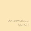 DULUX KOLORY ŚWIATA "Dojrzewający banan" 5L - obrazek 2