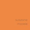 DULUX KOLORY ŚWIATA "Suszone morele" 5L - obrazek 2