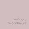 DULUX KOLORY ŚWIATA "Kwitnący migdałowiec" 2,5L - obrazek 2