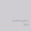 DULUX KOLORY ŚWIATA "Srebrzysty lód" 5L - obrazek 2