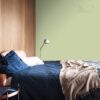 DULUX KOLORY ŚWIATA "Pąki akacji" 5L - obrazek 5