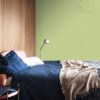 DULUX KOLORY ŚWIATA "Bambusowy gaj" 5L - obrazek 5
