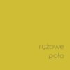 DULUX KOLORY ŚWIATA "Ryżowe pola" 2,5L - obrazek 2