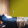 DULUX KOLORY ŚWIATA "Zielone tarasy" 2,5L - obrazek 5
