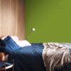 DULUX KOLORY ŚWIATA "Dzikie pnącza" 5L - obrazek 5