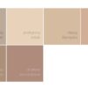 DULUX KOLORY ŚWIATA "Indyjski palisander" 2,5L - obrazek 3